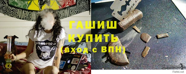 мдпв Ивангород