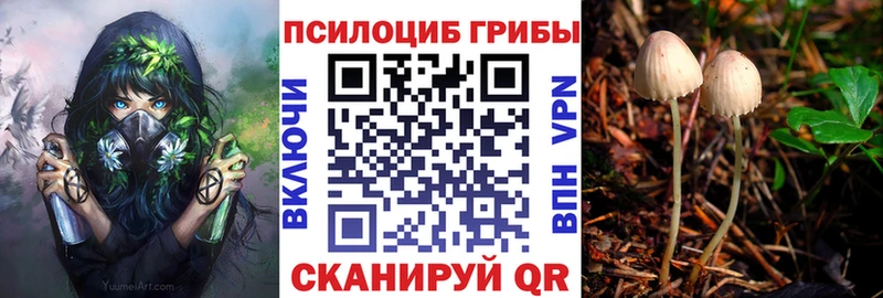 Галлюциногенные грибы прущие грибы  хочу наркоту  hydra ТОР  Красный Кут 